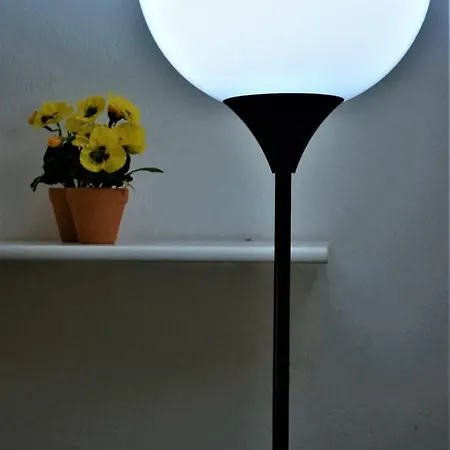 Delle Mimose