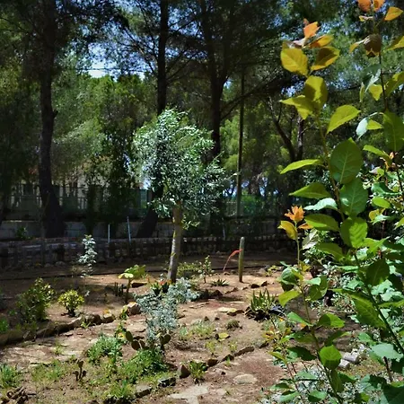 Casa vacanze Delle Mimose Porto Pino