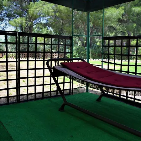 Delle Mimose *