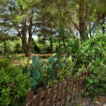 Delle Mimose Casa vacanze *