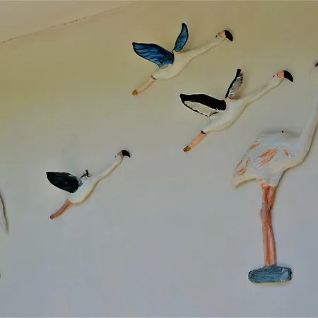 Casa vacanze Delle Mimose