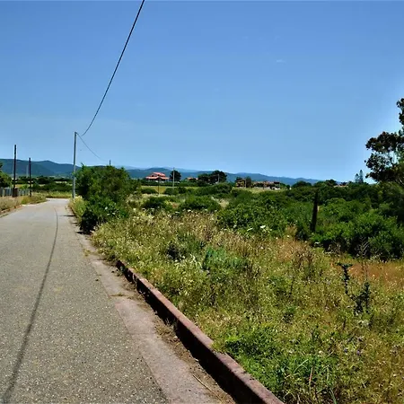 Delle Mimose Casa vacanze Porto Pino